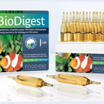Prodibio BioDigest 30 ампул бактерії