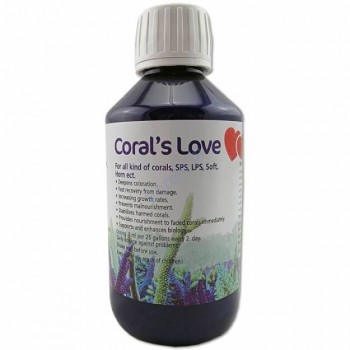 Korallen-Zucht Coral's Love