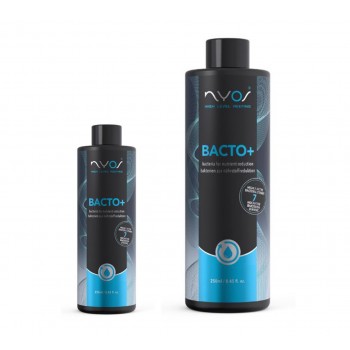 NYOS Bacto Plus 250 мл. бактерии