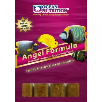 Ocean Nutrition Frozen Angel Formula 100 г.